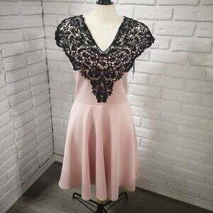 NWT Scarlet B Dorothy Perkins Ladies Size 14 Blush & Black Fit & Flare Dress